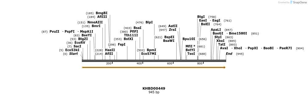 50002_map