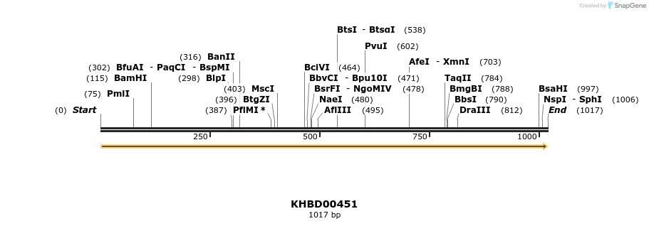 50004_map