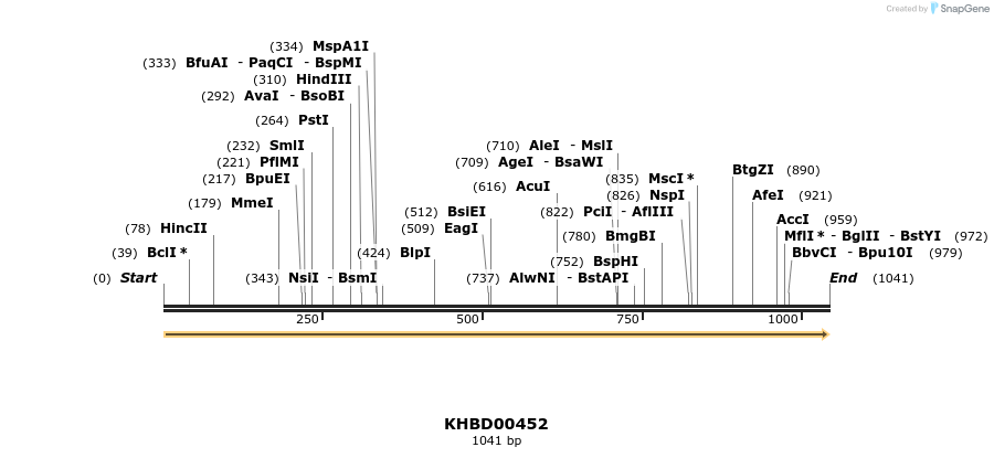 50005_map
