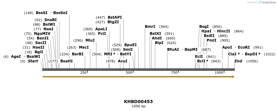 50006_map