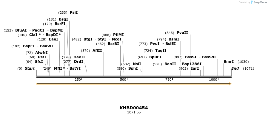 50007_map
