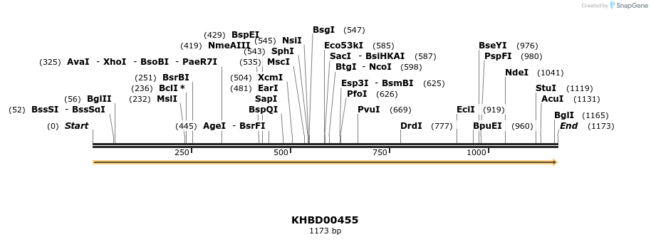 50008_map