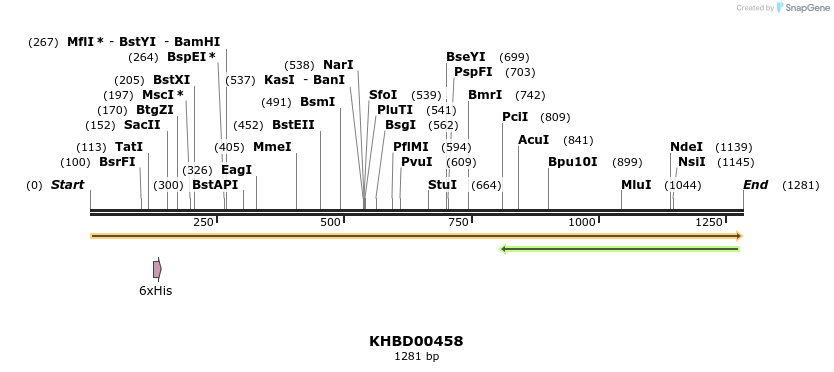 50011_map