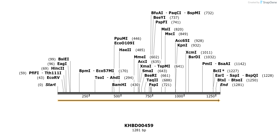 50012_map