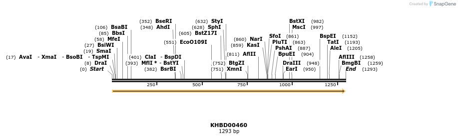 50013_map