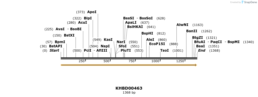 50015_map