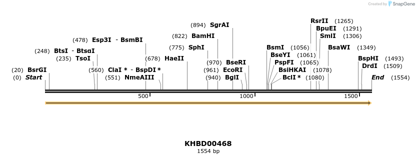 50018_map