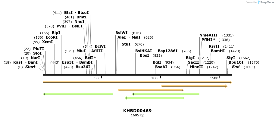 50019_map