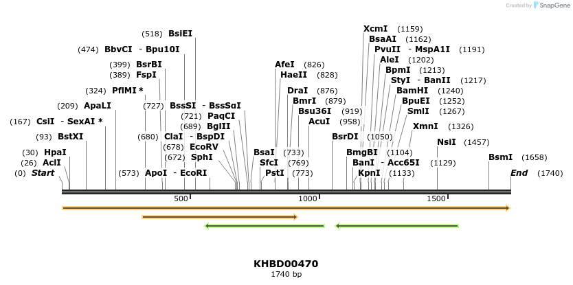 50020_map