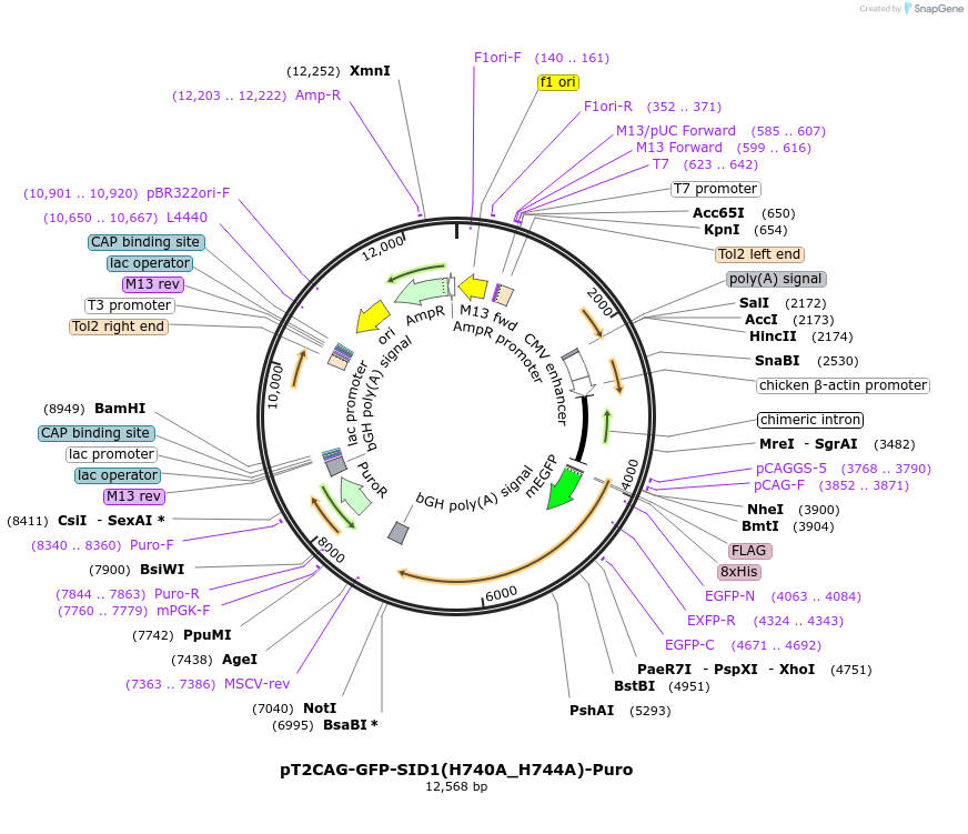500205_map