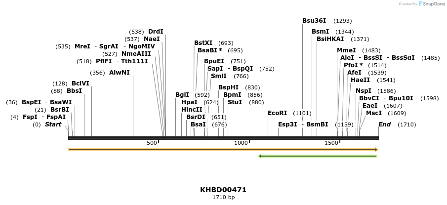50021_map