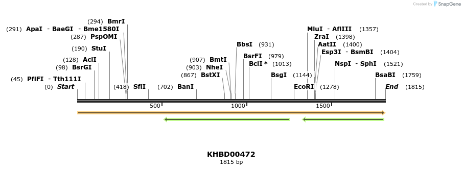 50022_map