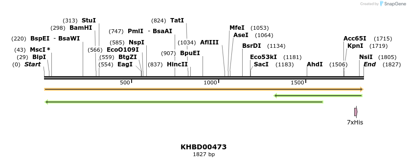 50023_map