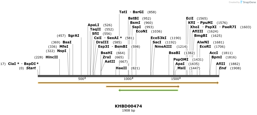 50024_map
