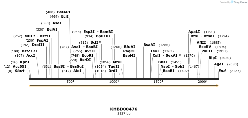 50025_map