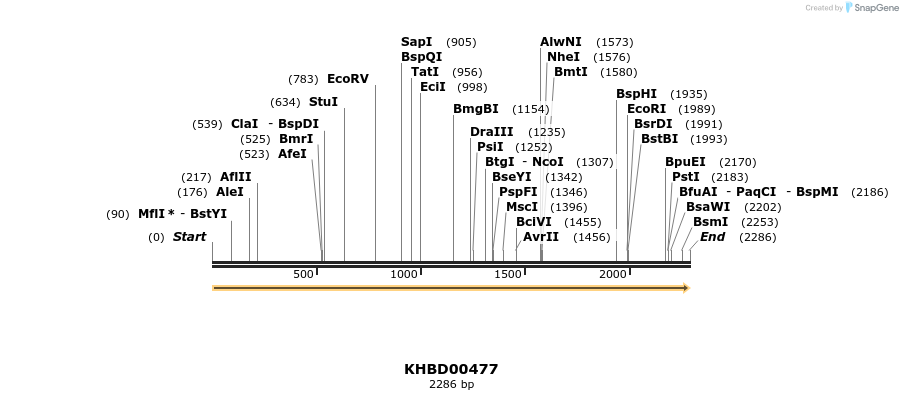 50026_map