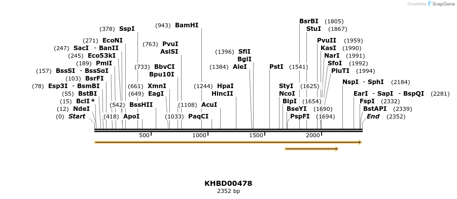 50027_map
