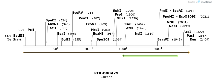 50028_map