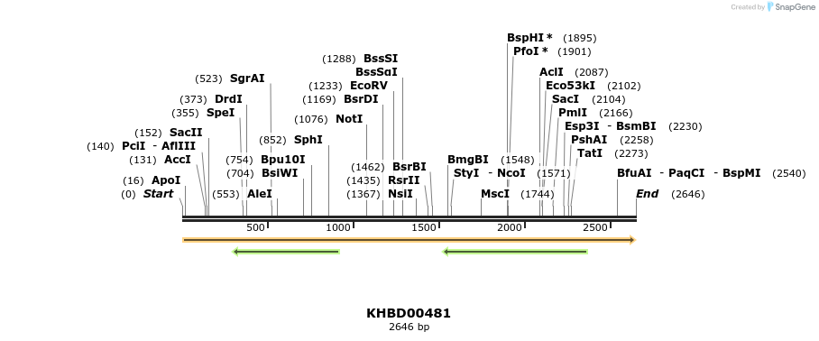 50029_map