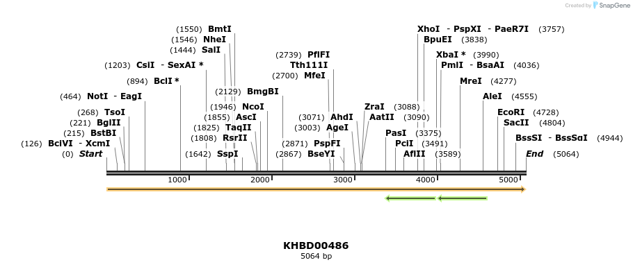50031_map