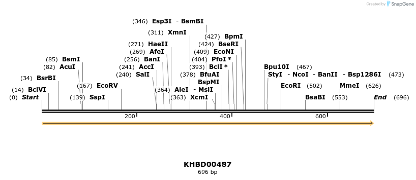 50032_map