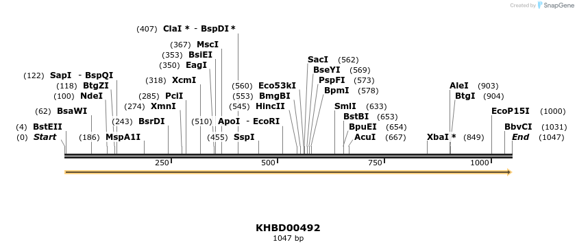 50036_map
