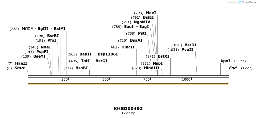 50037_map
