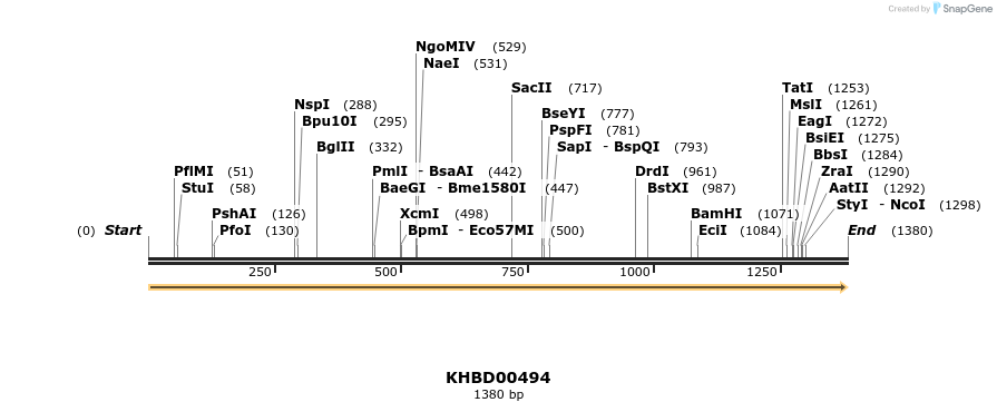 50038_map