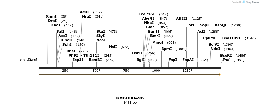 50040_map