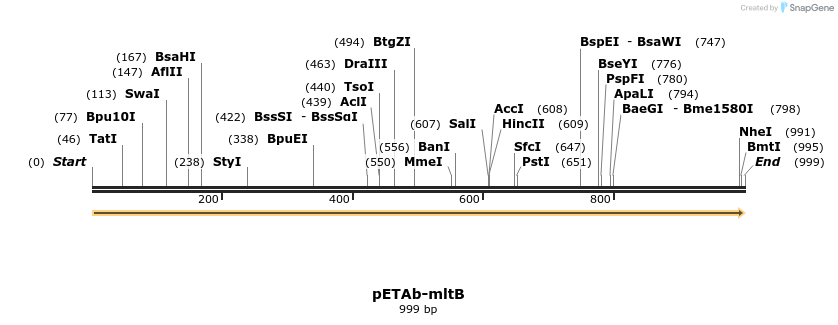 500401_map