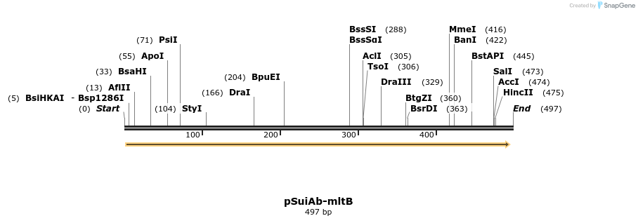 500402_map
