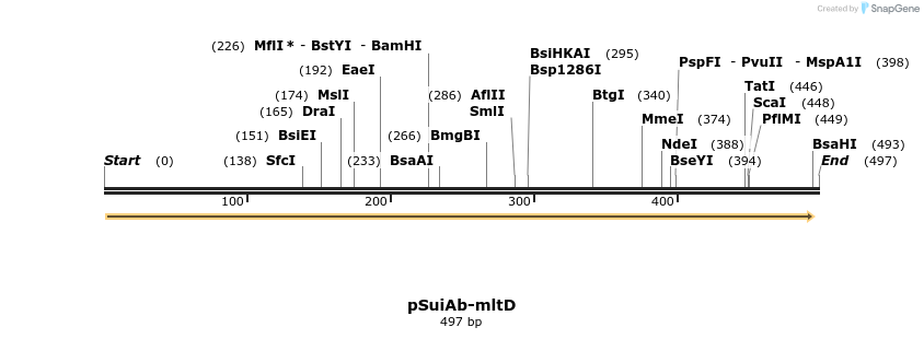 500403_map