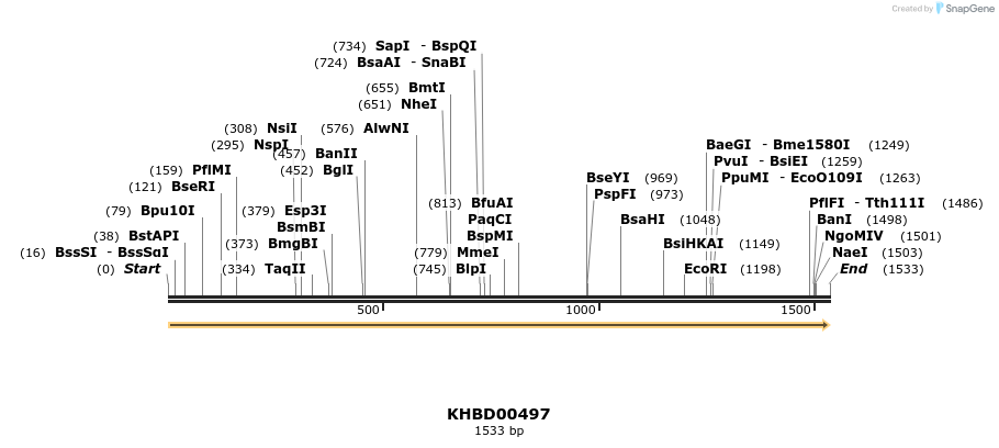 50041_map