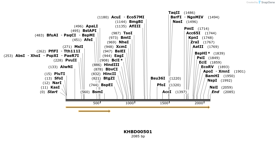 50045_map