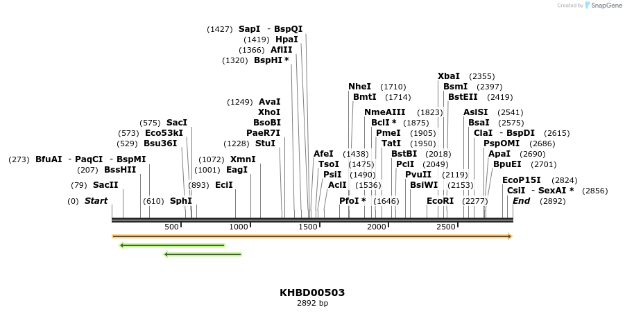 50046_map