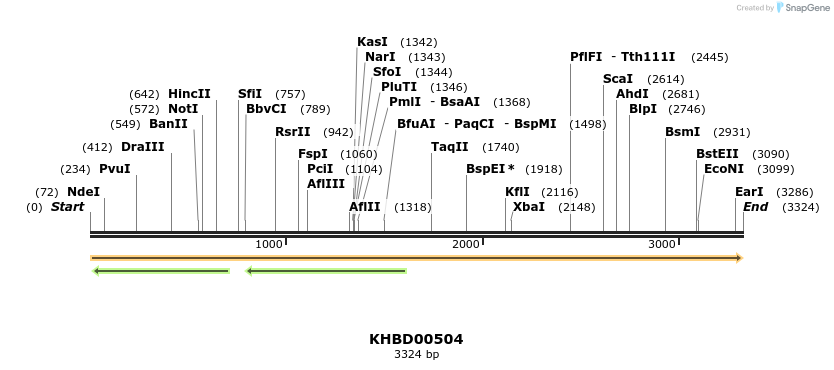 50047_map