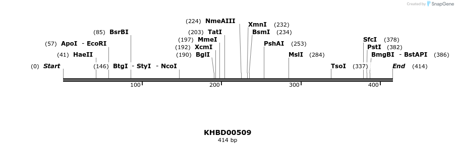 50050_map