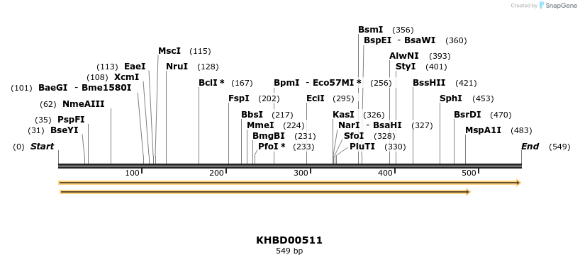 50052_map
