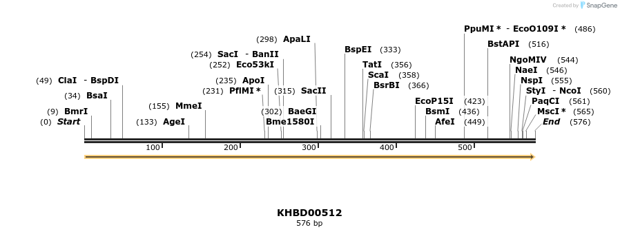 50053_map