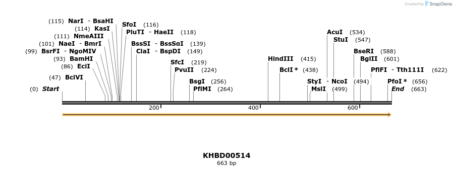 50055_map