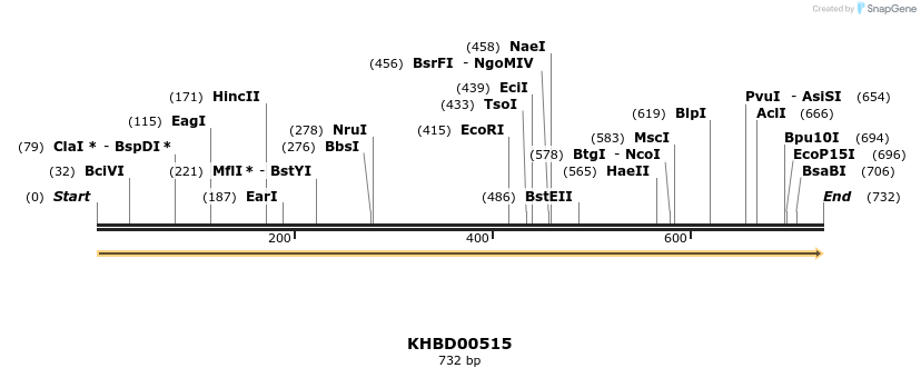 50056_map