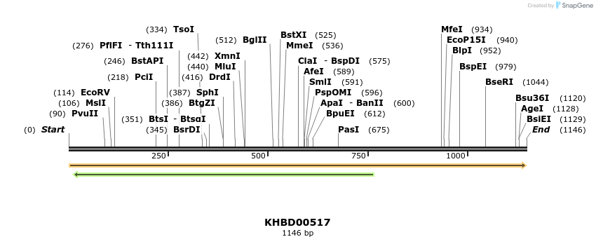 50058_map