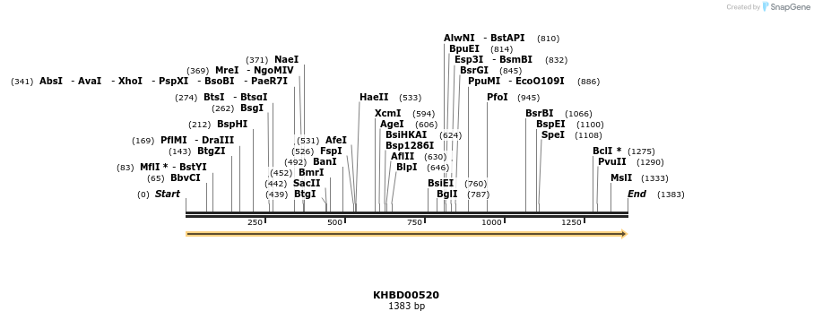 50061_map