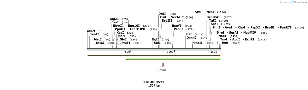 50062_map