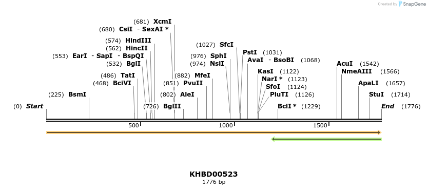 50063_map