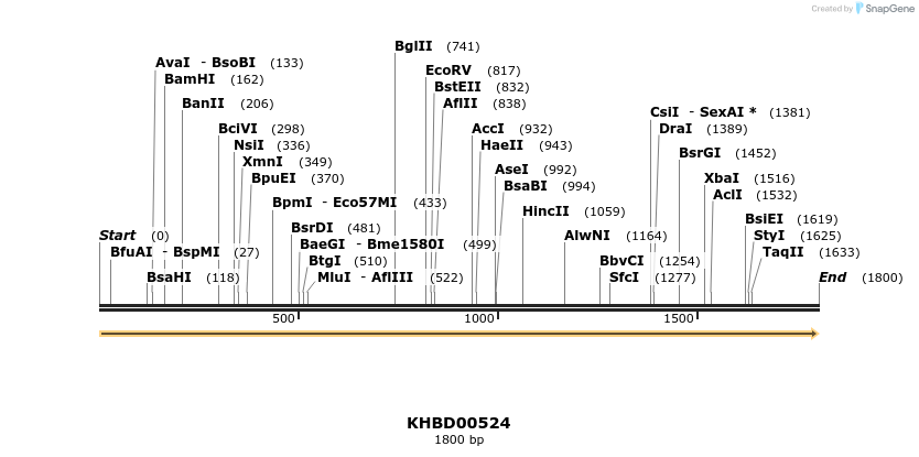 50064_map