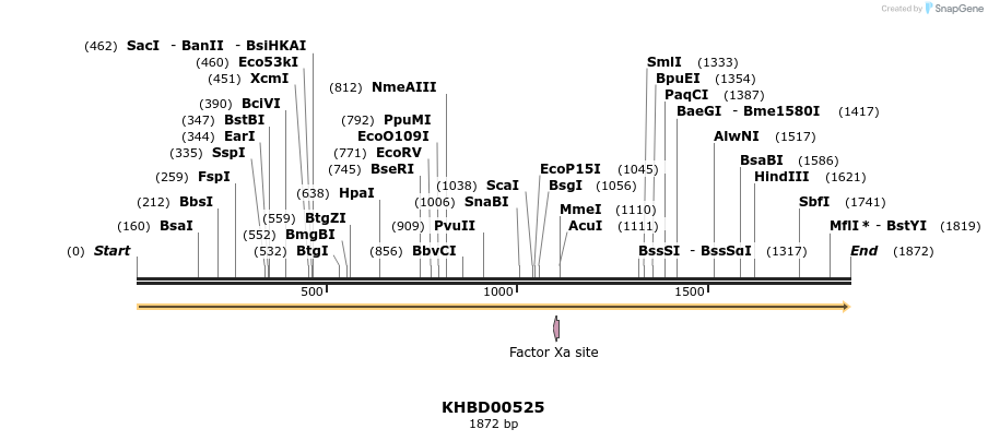 50065_map