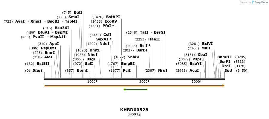 50066_map
