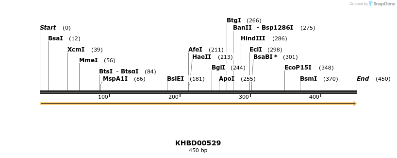 50067_map