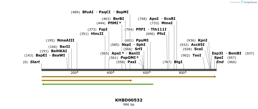 50070_map